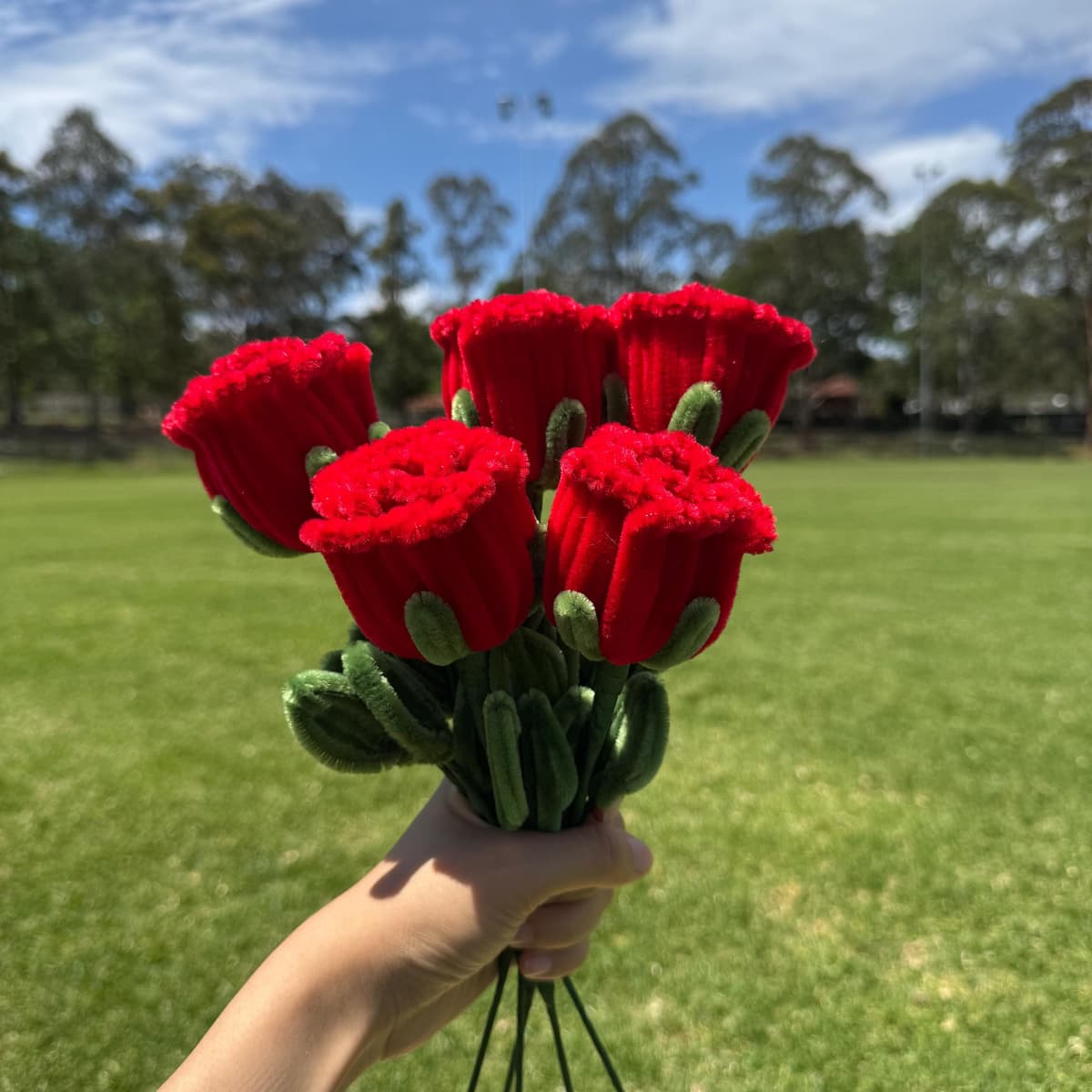 DIY Pipe Cleaner Rose Kit – Craft Gift, Make 5 Colorful Roses