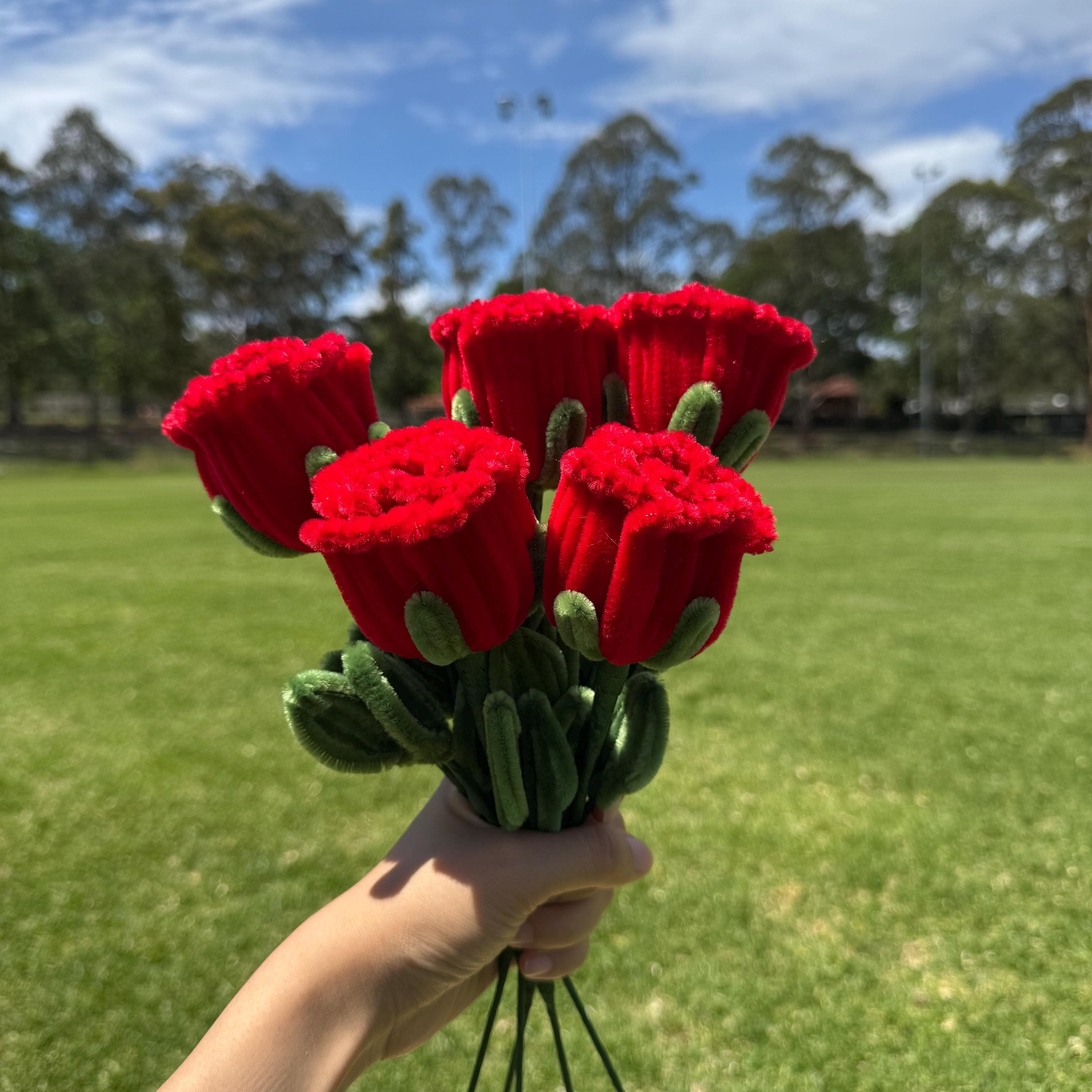 DIY Pipe Cleaner Rose Kit – Craft Gift, Make 5 Colorful Roses